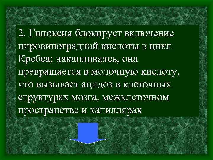 2. Гипоксия блокирует включение пировиноградной кислоты в цикл Кребса; накапливаясь, она превращается в молочную