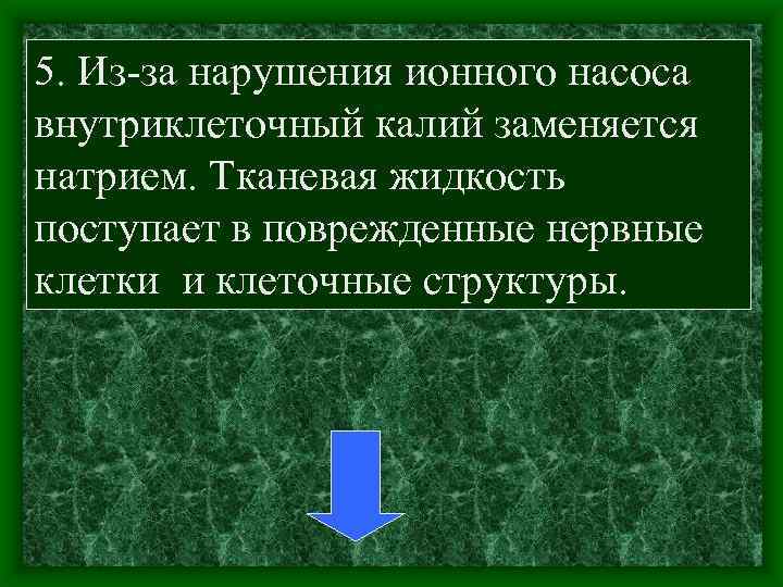 5. Из за нарушения ионного насоса внутриклеточный калий заменяется натрием. Тканевая жидкость поступает в