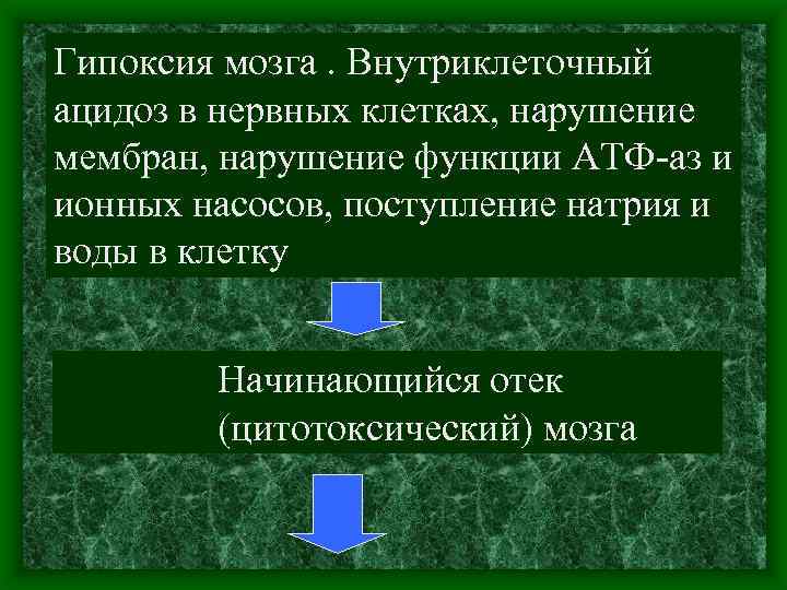 Гипоксия мозга. Внутриклеточный ацидоз в нервных клетках, нарушение мембран, нарушение функции АТФ аз и