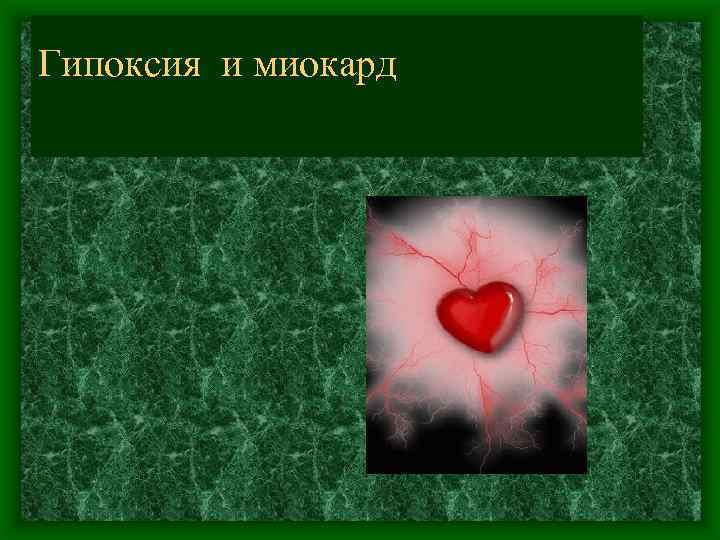 Гипоксия и миокард 