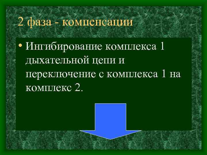 2 фаза компенсации • Ингибирование комплекса 1 дыхательной цепи и переключение с комплекса 1