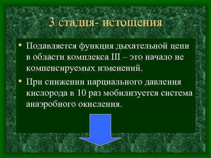 3 стадия истощения • Подавляется функция дыхательной цепи в области комплекса III – это