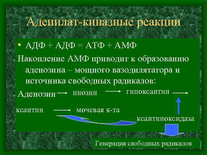 Аденилат киназные реакции • АДФ + АДФ = АТФ + АМФ Накопление АМФ приводит
