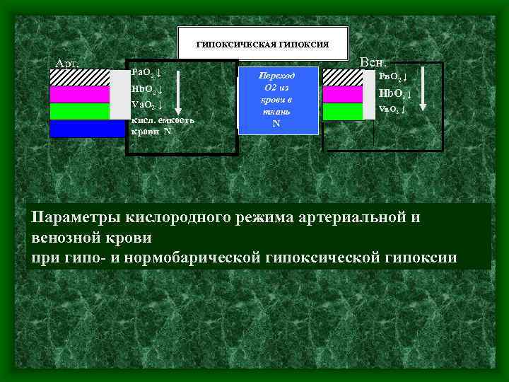 ГИПОКСИЧЕСКАЯ ГИПОКСИЯ Арт. Ра. О 2 ↓ Hb. O 2 ↓ Vа. O 2