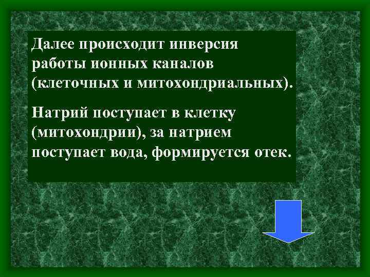 Далее происходит инверсия работы ионных каналов (клеточных и митохондриальных). Натрий поступает в клетку (митохондрии),