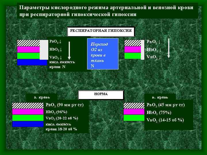 Параметры кислородного режима артериальной и венозной крови при респираторной гипоксической гипоксии РЕСПИРАТОРНАЯ ГИПОКСИЯ Ра.