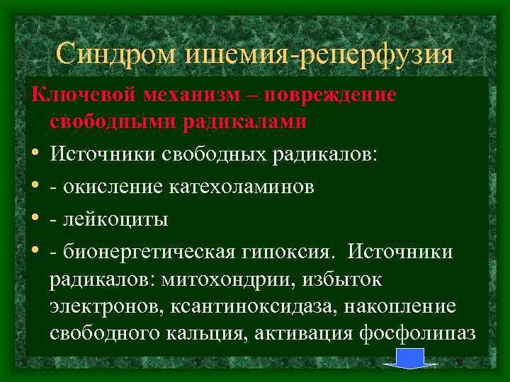 Синдром ишемия реперфузия Ключевой механизм – повреждение свободными радикалами • Источники свободных радикалов: •
