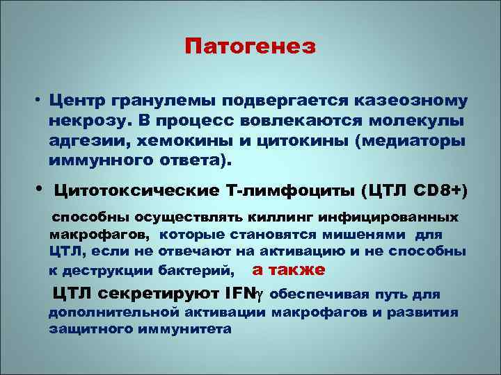 Патогенез • Центр гранулемы подвергается казеозному некрозу. В процесс вовлекаются молекулы адгезии, хемокины и