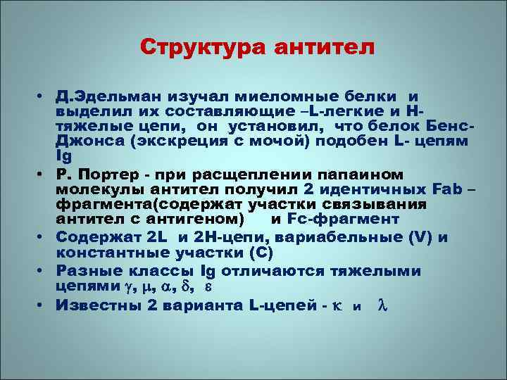Структура антител • Д. Эдельман изучал миеломные белки и выделил их составляющие –L-легкие и