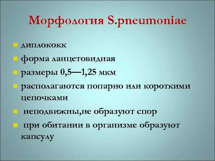 Морфология S. pneumoniae диплококк n форма ланцетовидная n размеры 0, 5— 1, 25 мкм