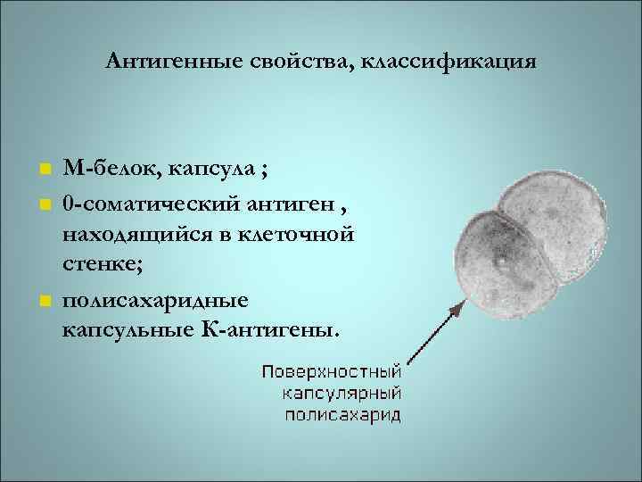 Антигенные свойства, классификация n n n М-белок, капсула ; 0 -соматический антиген , находящийся