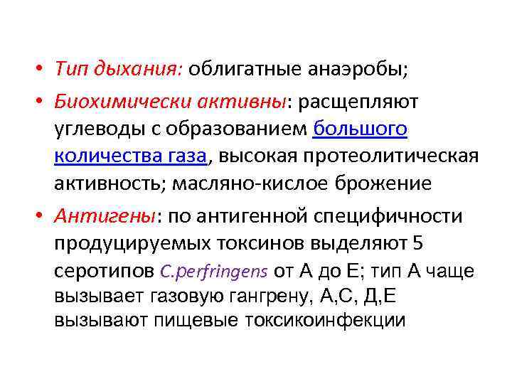  • Тип дыхания: облигатные анаэробы; • Биохимически активны: расщепляют углеводы с образованием большого