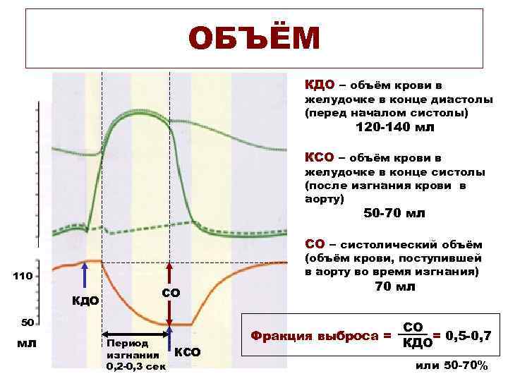 ОБЪЁМ КДО – объём крови в желудочке в конце диастолы (перед началом систолы) 120