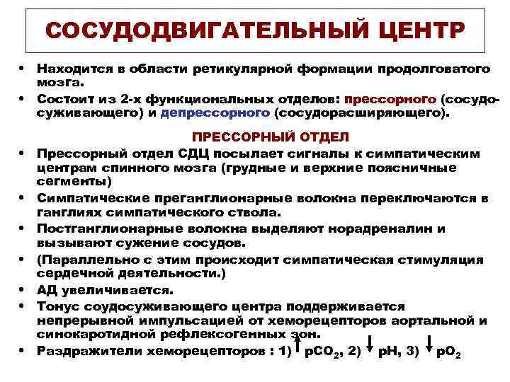 СОСУДОДВИГАТЕЛЬНЫЙ ЦЕНТР • Находится в области ретикулярной формации продолговатого мозга. • Состоит из 2