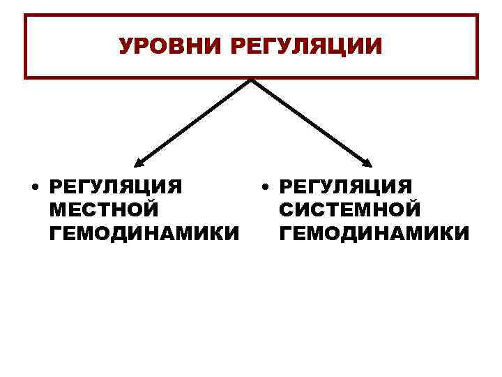 УРОВНИ РЕГУЛЯЦИИ • РЕГУЛЯЦИЯ МЕСТНОЙ ГЕМОДИНАМИКИ • РЕГУЛЯЦИЯ СИСТЕМНОЙ ГЕМОДИНАМИКИ 