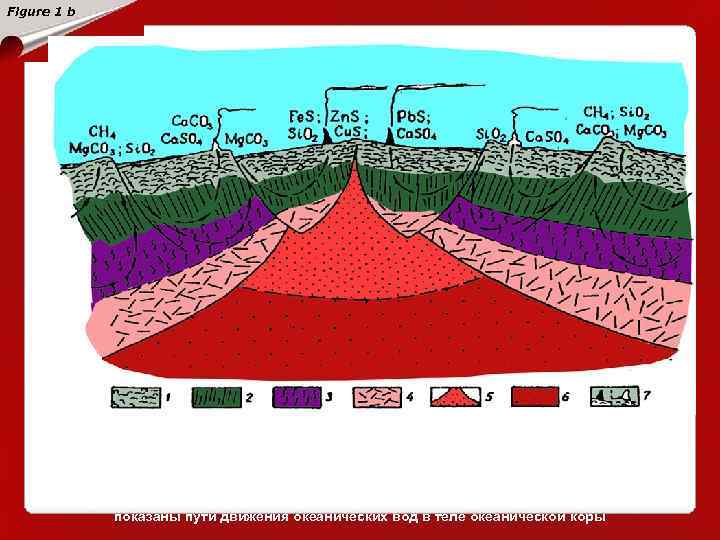 Figure 1 b Картина формирования океанической коры и геохимия гидротермальных процессов в рифтовых зонах