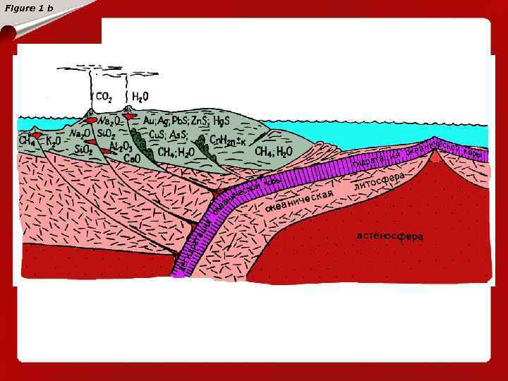 Figure 1 b Картина формирования континентальной коры в фанерозое за счет частичного переплавления и