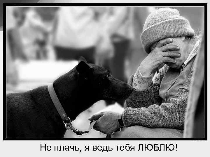 Не плачь, я ведь тебя ЛЮБЛЮ! 