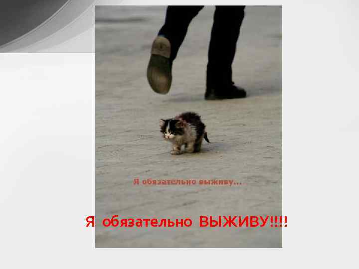 Я обязательно ВЫЖИВУ!!!! 