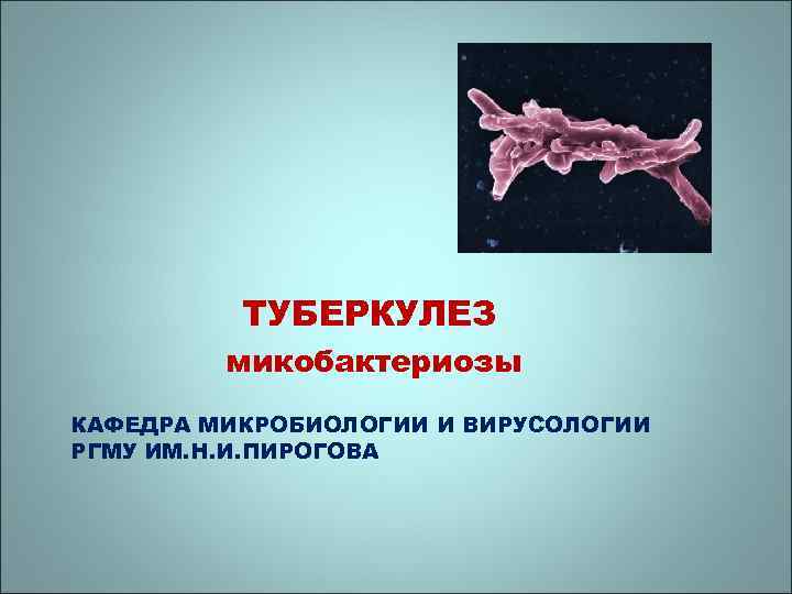 ТУБЕРКУЛЕЗ микобактериозы КАФЕДРА МИКРОБИОЛОГИИ И ВИРУСОЛОГИИ РГМУ ИМ. Н. И. ПИРОГОВА 