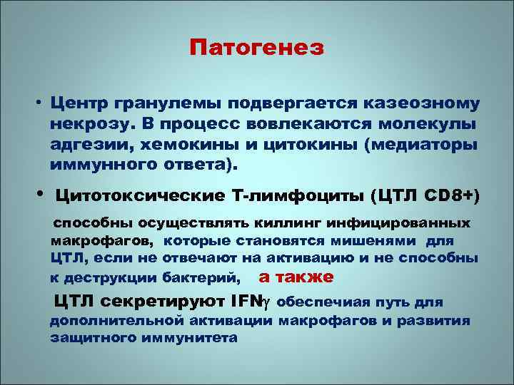 Патогенез • Центр гранулемы подвергается казеозному некрозу. В процесс вовлекаются молекулы адгезии, хемокины и