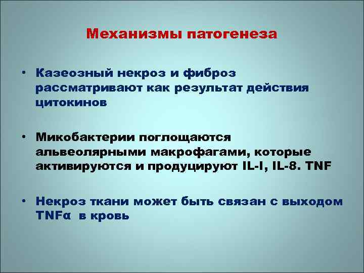 Механизмы патогенеза • Казеозный некроз и фиброз рассматривают как результат действия цитокинов • Микобактерии