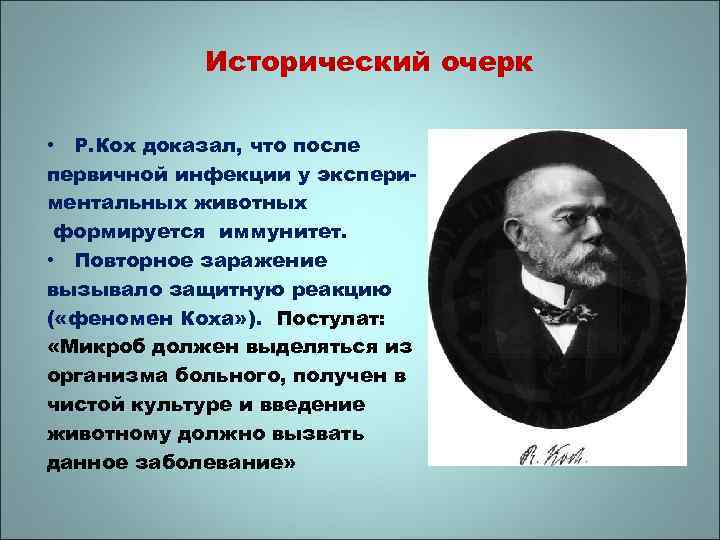 Исторический очерк • Р. Кох доказал, что после первичной инфекции у экспериментальных животных формируется