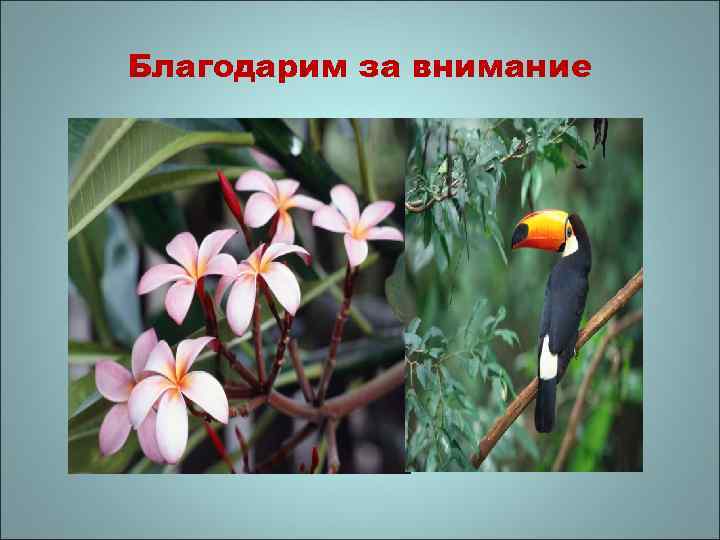 Благодарим за внимание 