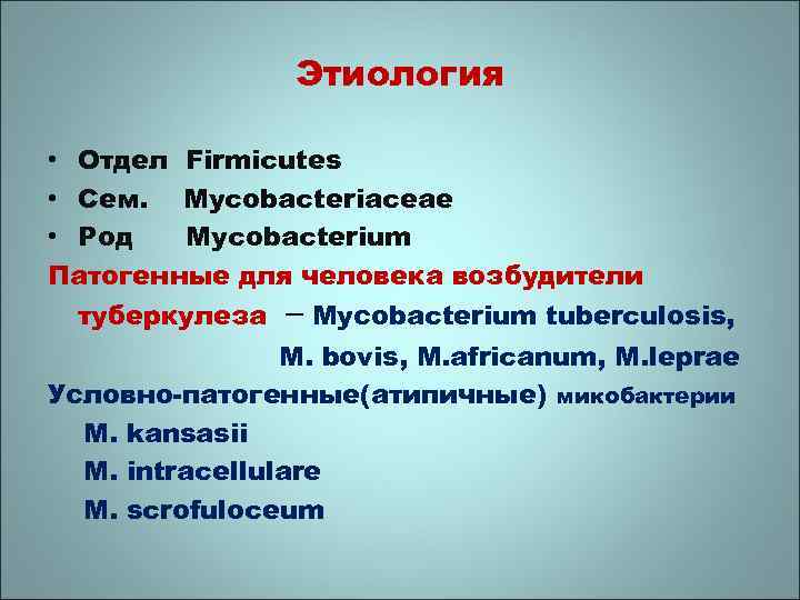 Этиология • Отдел Firmicutes • Сем. Mycobacteriaceae • Род Mycobacterium Патогенные для человека возбудители