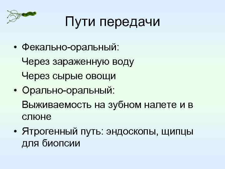 Пути передачи • Фекально-оральный: Через зараженную воду Через сырые овощи • Орально-оральный: Выживаемость на