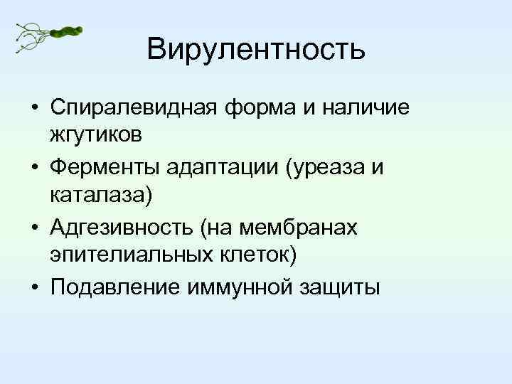 Вирулентность • Спиралевидная форма и наличие жгутиков • Ферменты адаптации (уреаза и каталаза) •