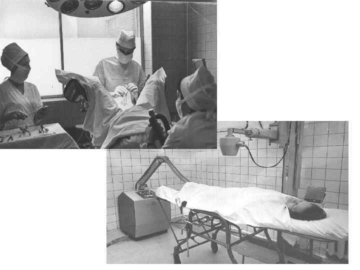 Структура распространения и регрессии опухоли KBD 