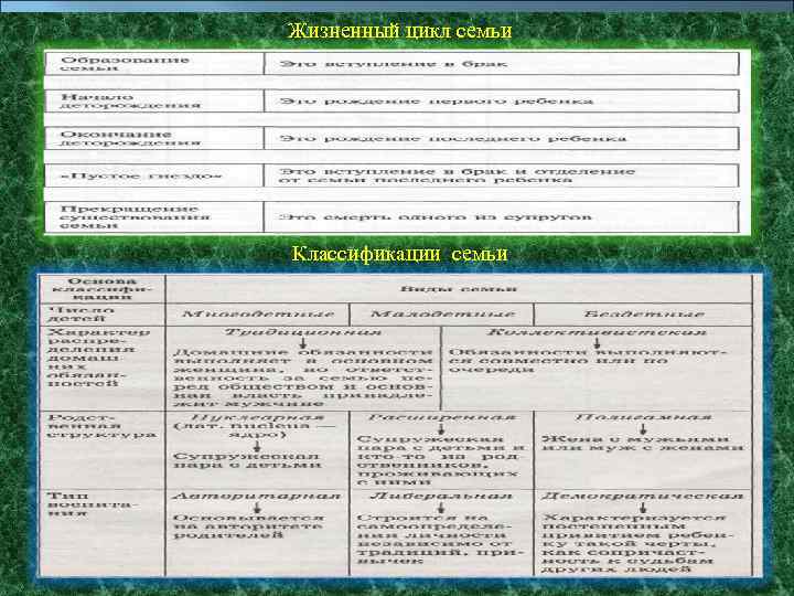 Жизненный цикл семьи Классификации семьи 