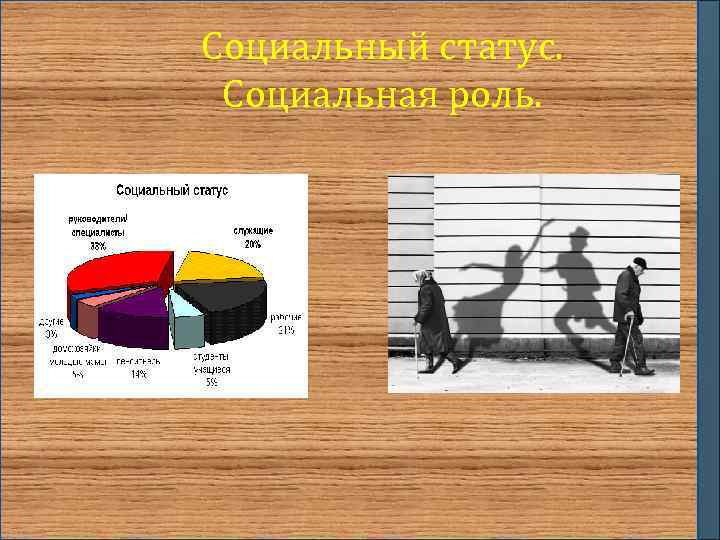 Социальный статус. Социальная роль. 