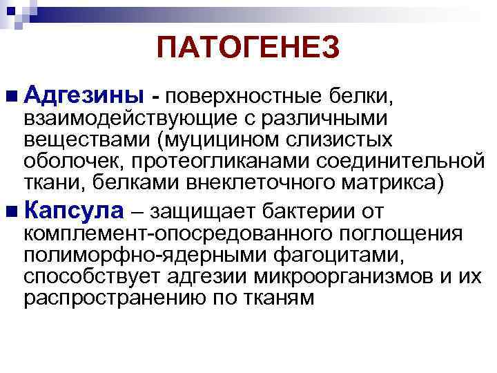 ПАТОГЕНЕЗ Адгезины - поверхностные белки, взаимодействующие с различными веществами (муцицином слизистых оболочек, протеогликанами соединительной