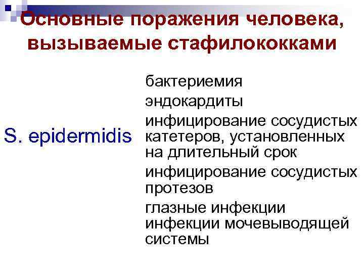 Основные поражения человека, вызываемые стафилококками S. бактериемия эндокардиты Кожные гнойничковые инфекции инфицирование сосудистых epidermidis