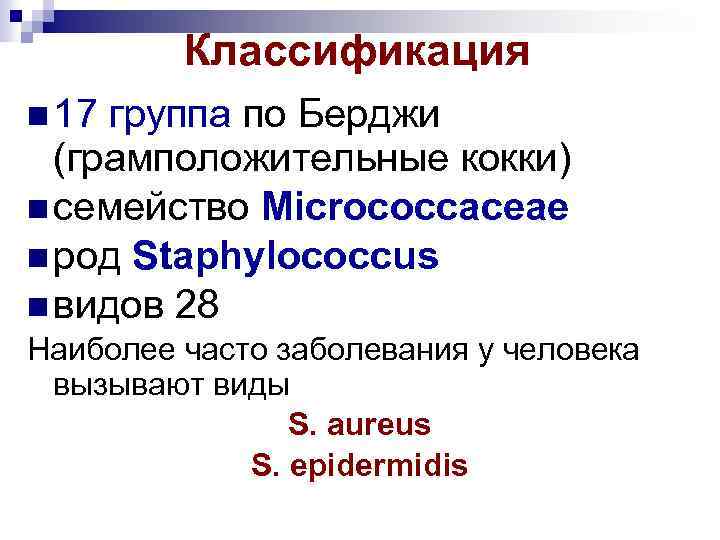 Классификация 17 группа по Берджи (грамположительные кокки) семейство Microсоссасеае род Staphylococcus видов 28 Наиболее