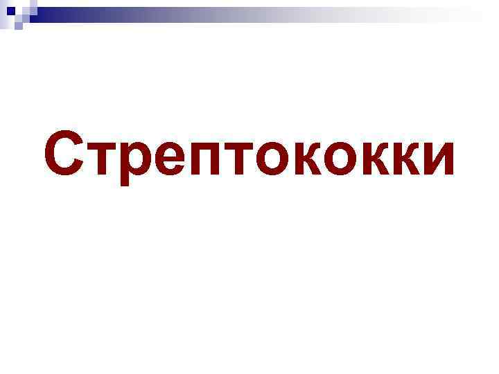 Стрептококки 