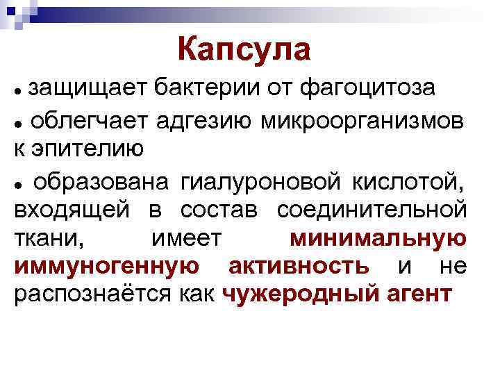 Капсула защищает бактерии от фагоцитоза облегчает адгезию микроорганизмов к эпителию образована гиалуроновой кислотой, входящей