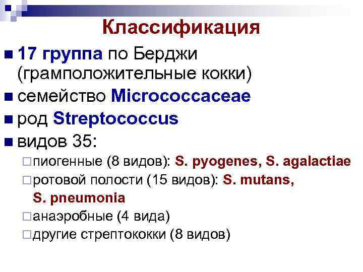 Классификация 17 группа по Берджи (грамположительные кокки) семейство Microсоссасеае род Streptococcus видов 35: пиогенные