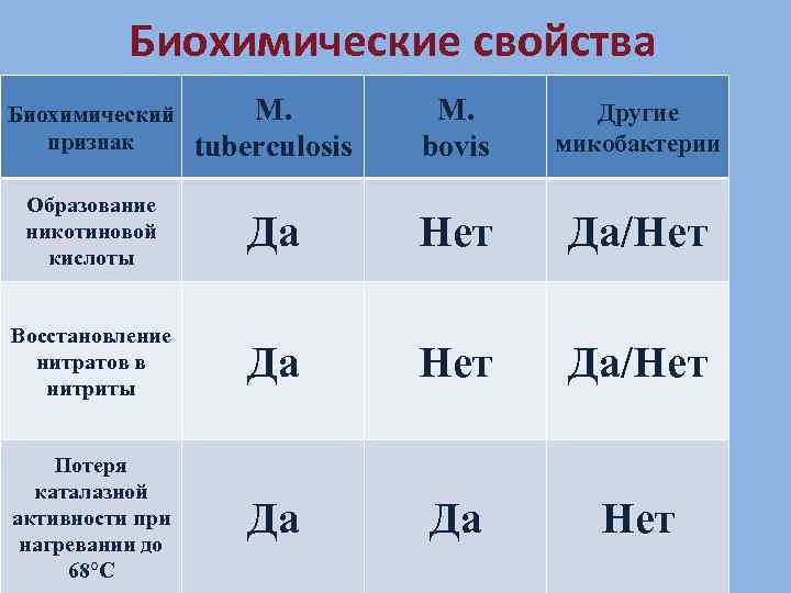 Биохимические свойства Биохимический признак M. tuberculosis M. bovis Другие микобактерии Образование никотиновой кислоты Да