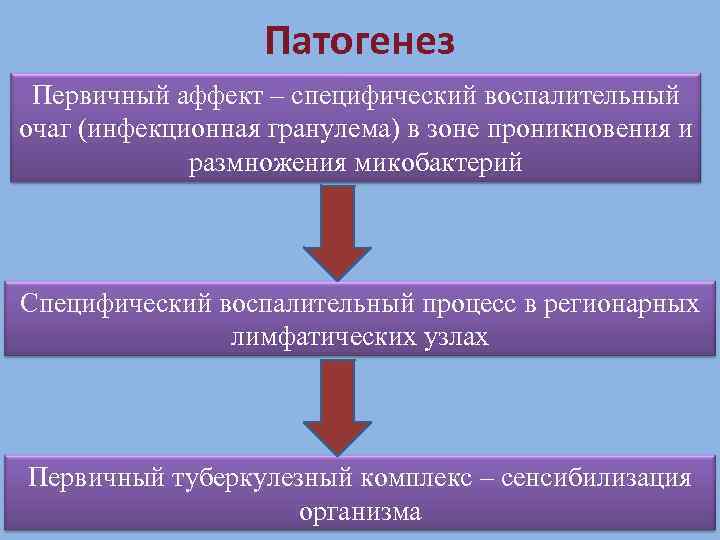 Патогенез Первичный аффект – специфический воспалительный очаг (инфекционная гранулема) в зоне проникновения и размножения