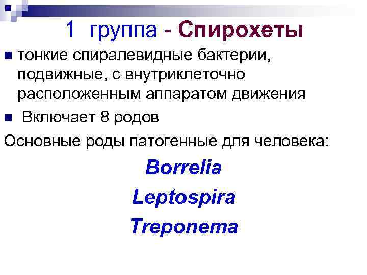 1 группа Спирохеты тонкие спиралевидные бактерии, подвижные, с внутриклеточно расположенным аппаратом движения n Включает
