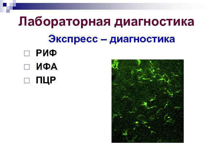 Лабораторная диагностика Экспресс – диагностика РИФ ¨ ИФА ¨ ПЦР ¨ 