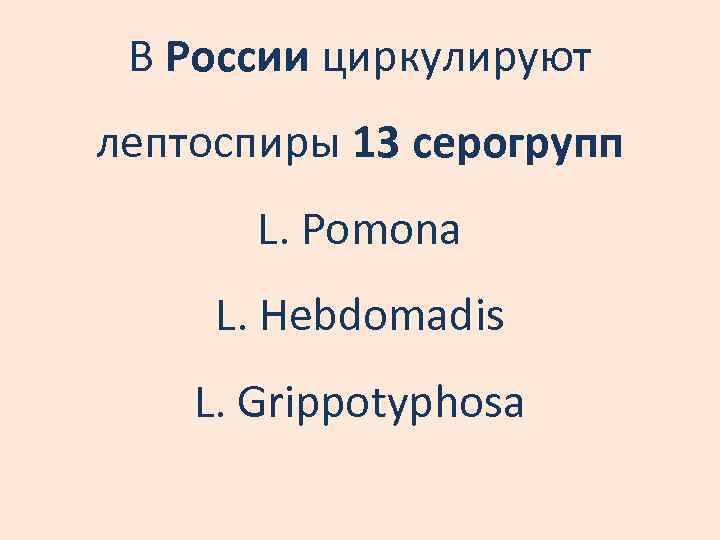В России циркулируют лептоспиры 13 серогрупп L. Pomona L. Hebdomadis L. Grippotyphosa 