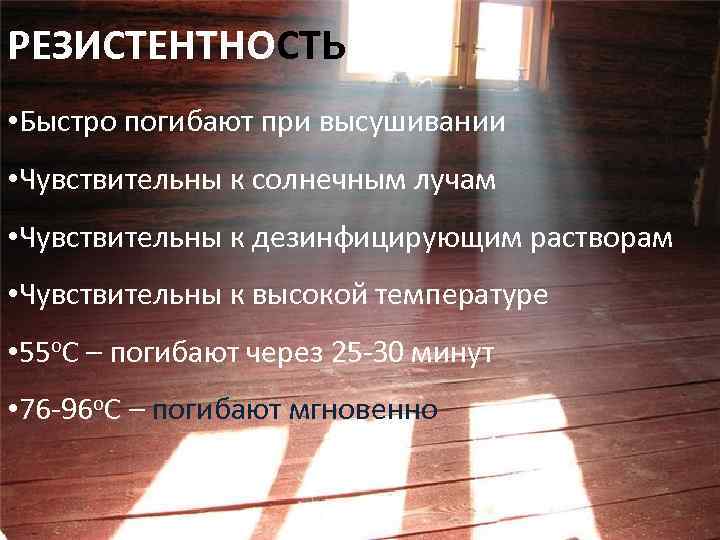 РЕЗИСТЕНТНОСТЬ • Быстро погибают при высушивании • Чувствительны к солнечным лучам • Чувствительны к