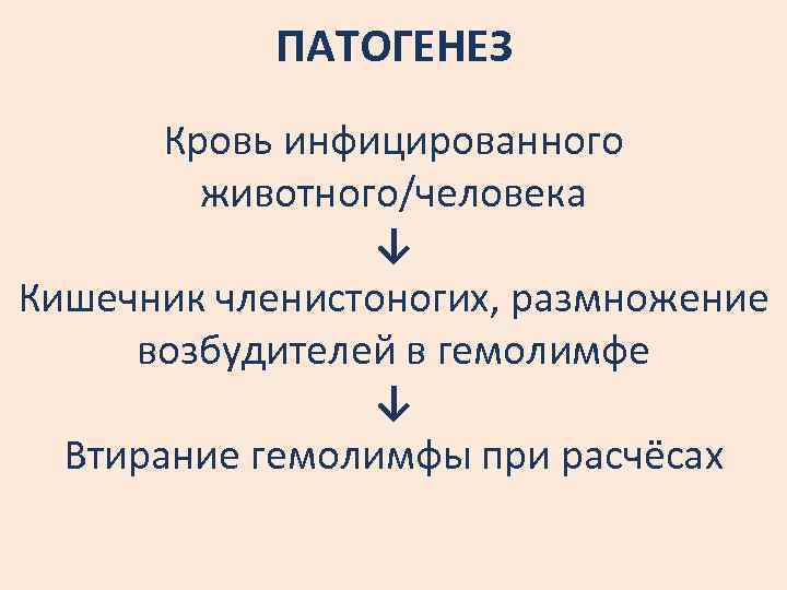 ПАТОГЕНЕЗ Кровь инфицированного животного/человека ↓ Кишечник членистоногих, размножение возбудителей в гемолимфе ↓ Втирание гемолимфы