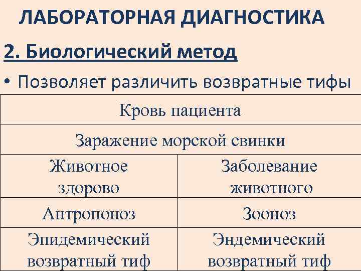 ЛАБОРАТОРНАЯ ДИАГНОСТИКА 2. Биологический метод • Позволяет различить возвратные тифы Кровь пациента Заражение морской