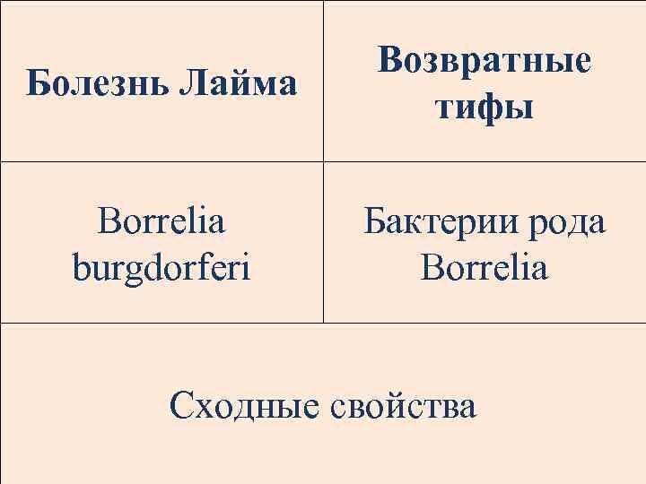 Болезнь Лайма Возвратные тифы Borrelia burgdorferi Бактерии рода Borrelia Сходные свойства 