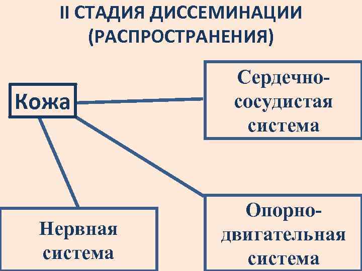 II СТАДИЯ ДИССЕМИНАЦИИ (РАСПРОСТРАНЕНИЯ) Кожа Нервная система Сердечнососудистая система Опорнодвигательная система 